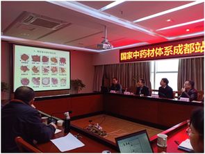 四川省农业科学院 国家中药材体系成都试验站川芎育种与栽培技术研讨会成功举行