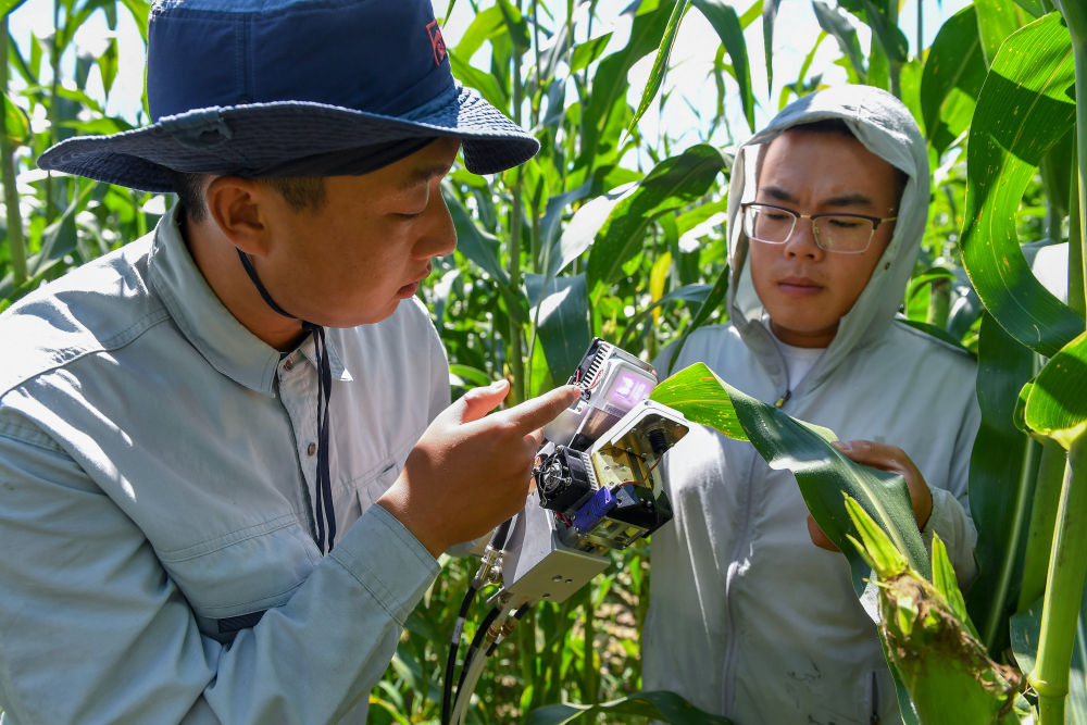 科技赋能中国农民的丰收年 农业科学研究的试验发展