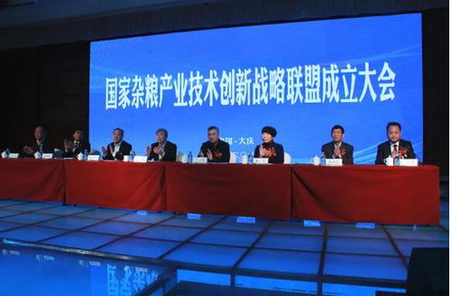 燕谷坊集团以全谷物农业科技为引擎 助力发起国家杂粮战略联盟 推动农业科研与试验发展新篇章