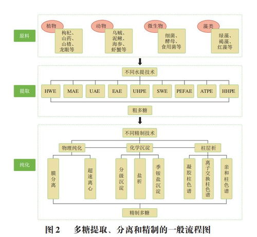 多糖的精制及环磷酰胺减毒增效机制研究进展